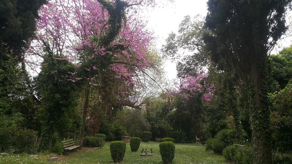 The Villa Averoff Kírinthos Camera foto