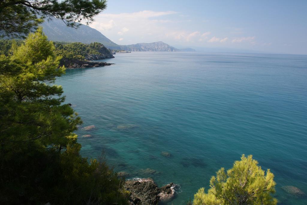 The Villa Averoff Kírinthos Camera foto